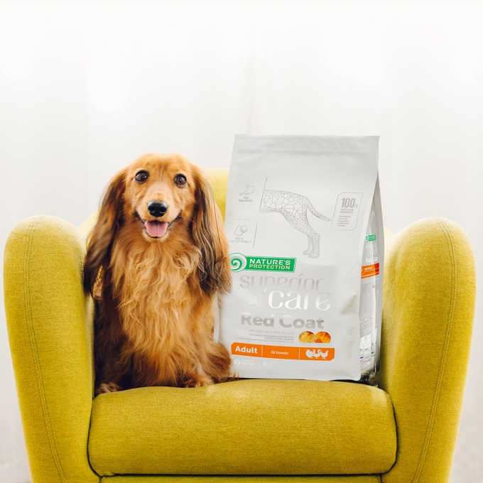 dry food for adult all breed dogs with red coat with poultry